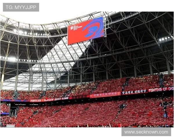 世界杯是什么世界杯体育论坛